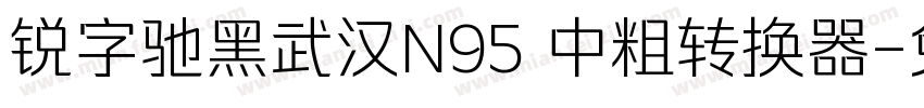 锐字驰黑武汉N95 中粗转换器字体转换